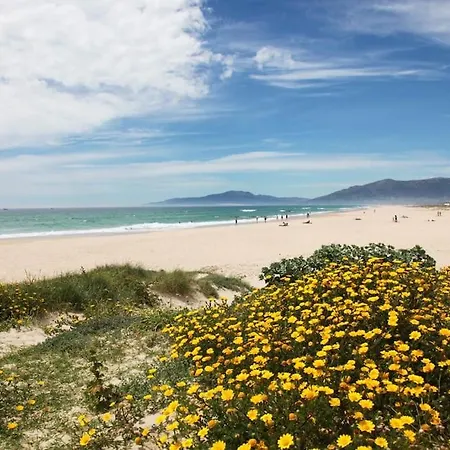 El Cardenal شقة تريفة